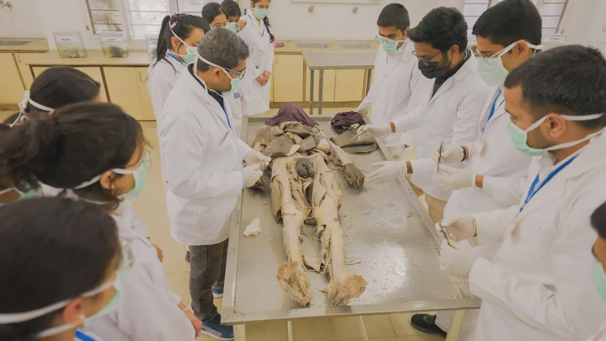 Disection Hall